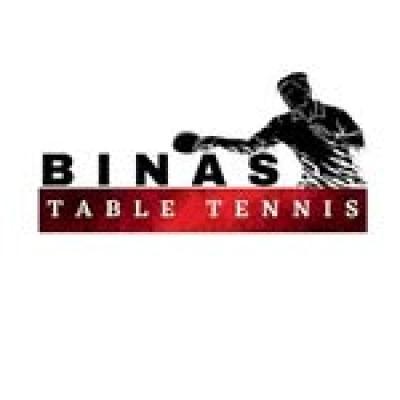 BINAS TABLE TENNIS
