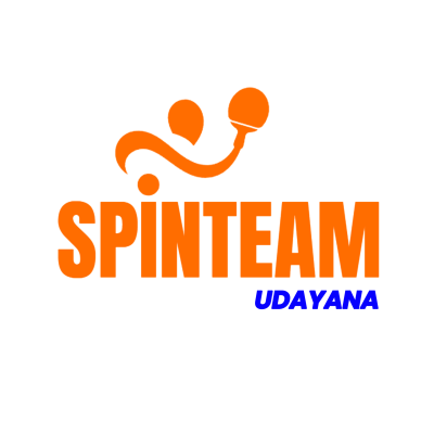 SPINTEAM